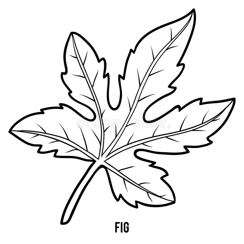 Kolorowanka online: Kolorowanka liść figi